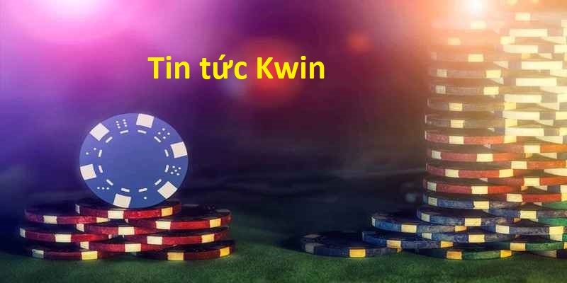 Tổng hợp thông tin mà Kwin đem đến cho khách hàng