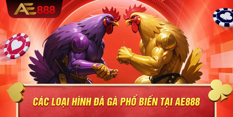 Các loại hình đá gà phổ biến tại AE888