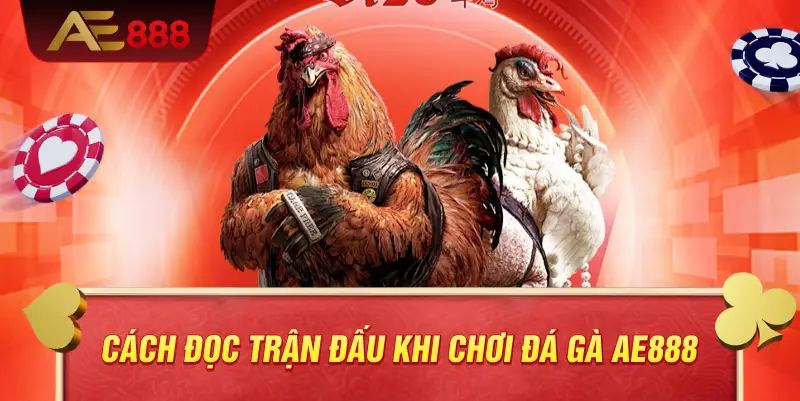 Cách đọc trận đấu khi chơi đá gà AE888