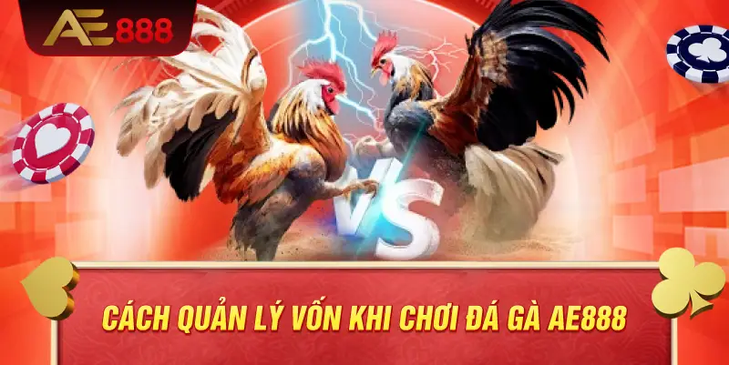 Cách quản lý vốn khi chơi đá gà AE888